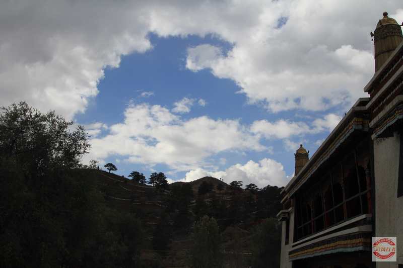 IMG_1822.jpg