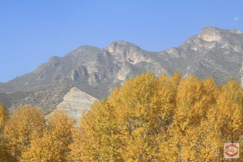 IMG_2064.jpg