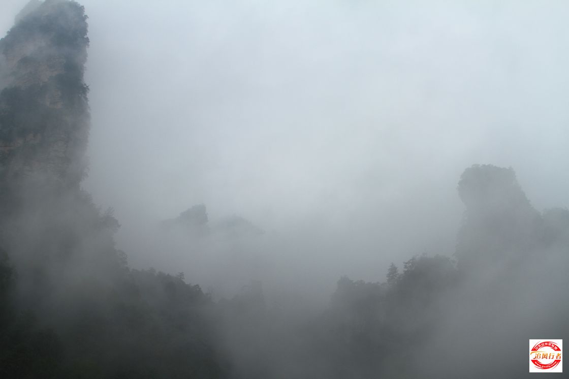IMG_3520.jpg