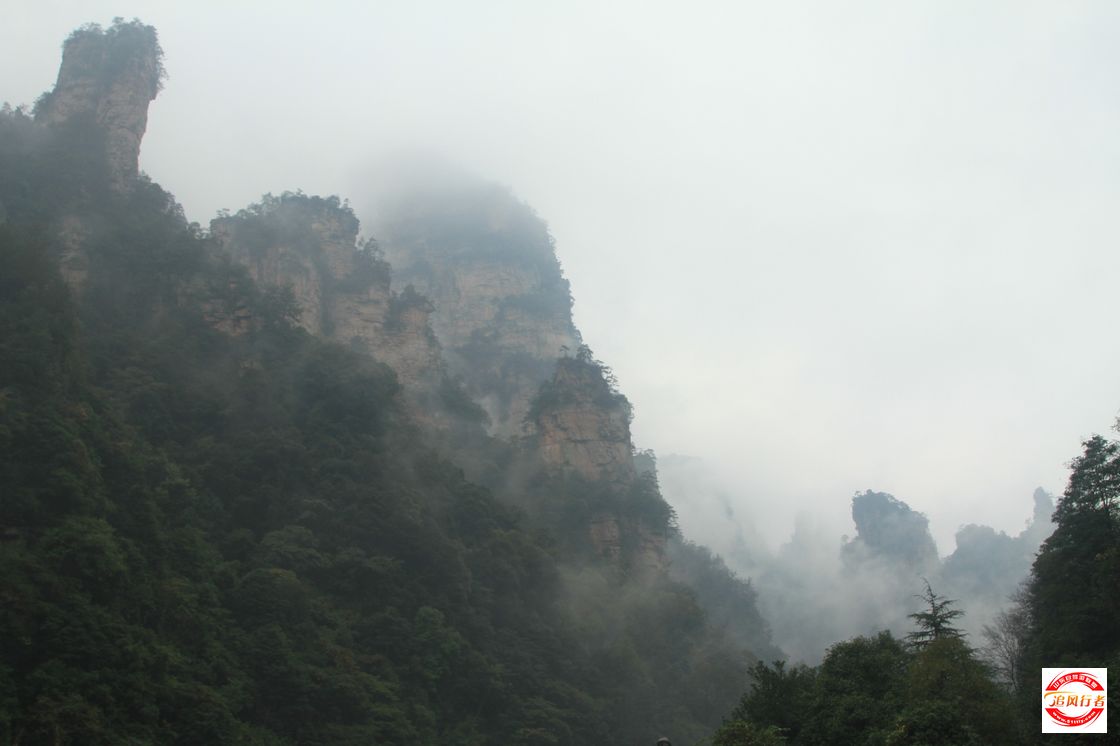IMG_3612.jpg