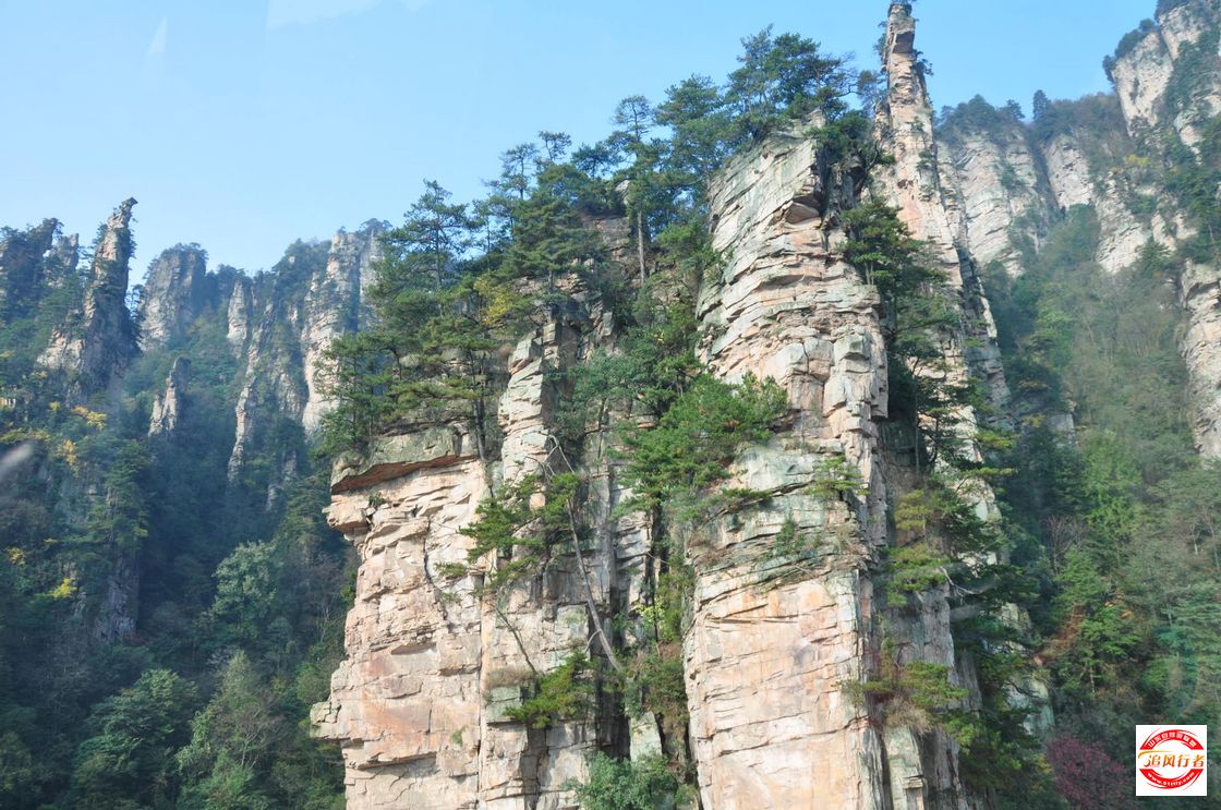 DSC_0197.jpg