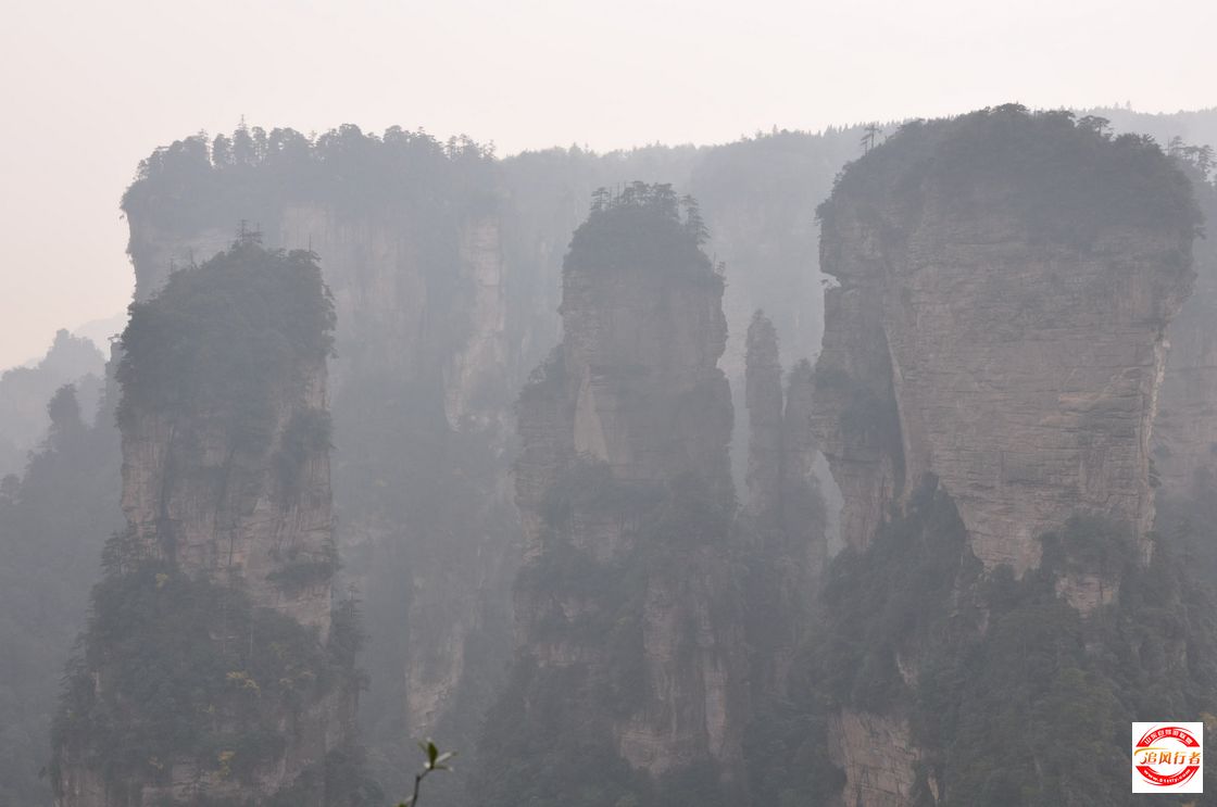 DSC_0418.jpg