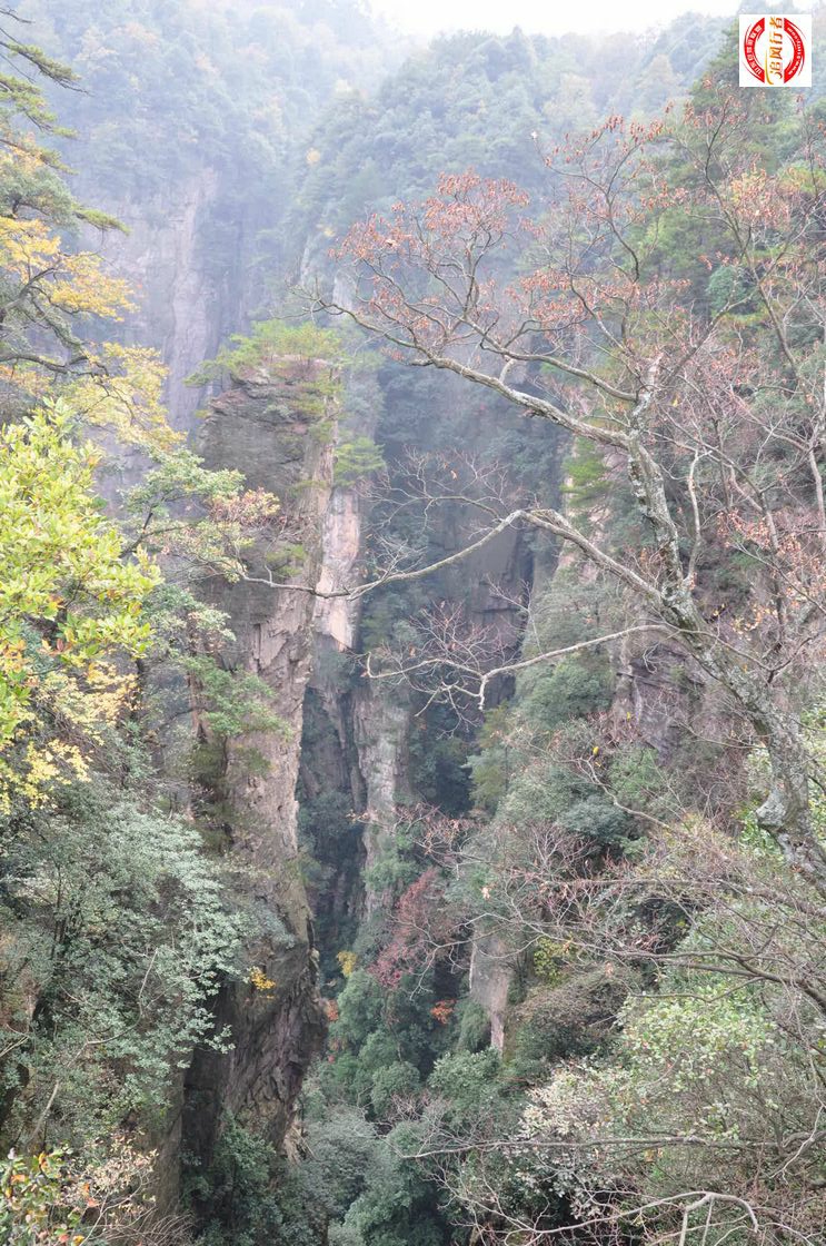 DSC_0470.jpg