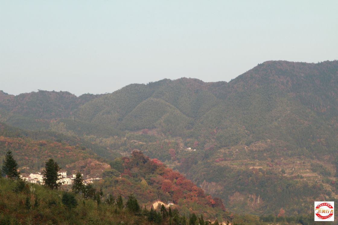 IMG_5934.jpg