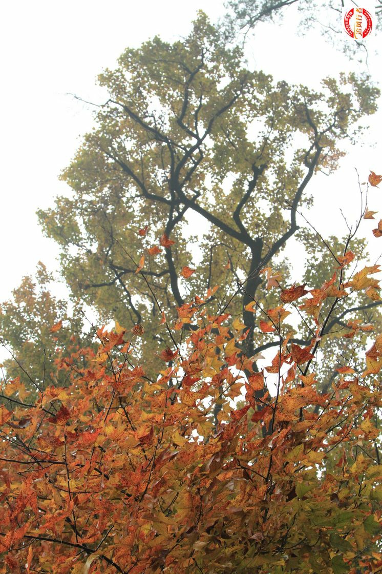 IMG_6125.jpg