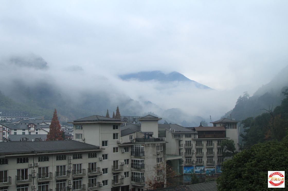 IMG_6284.jpg