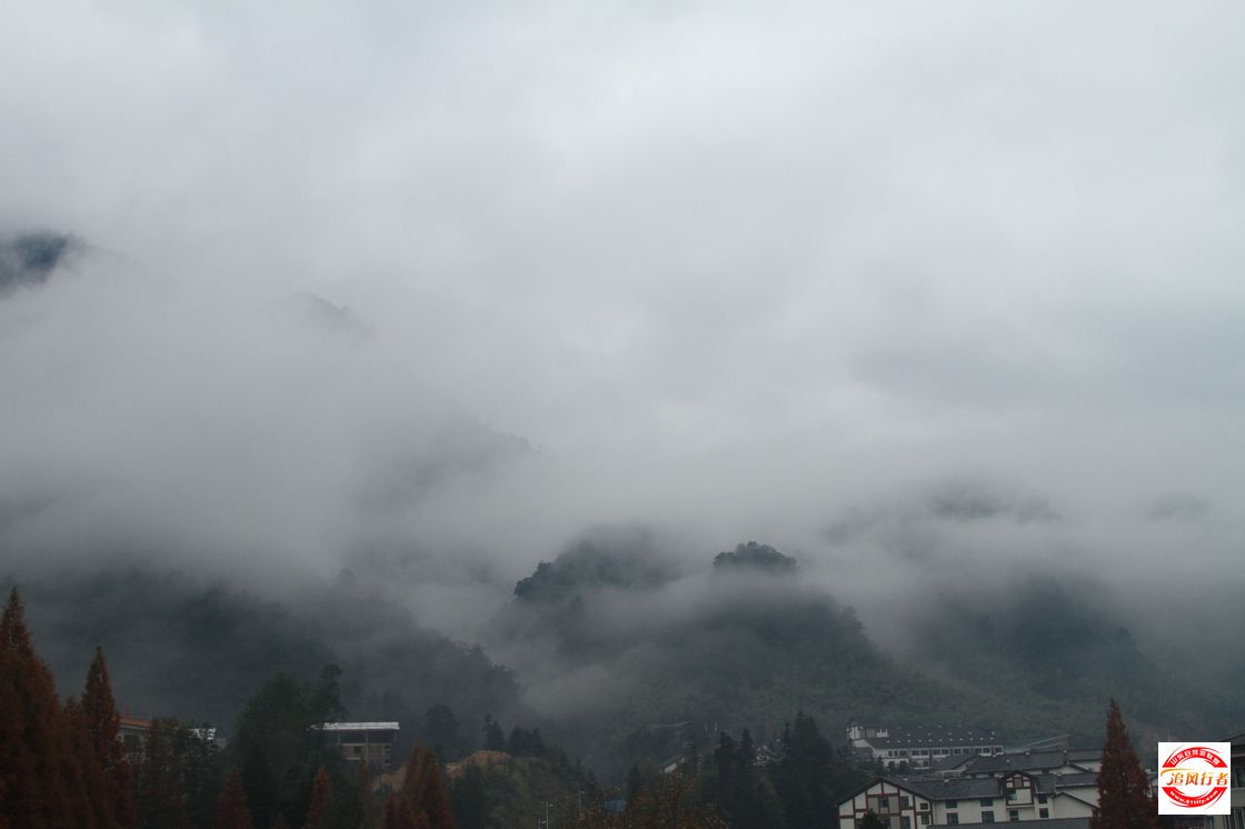 IMG_6288.jpg