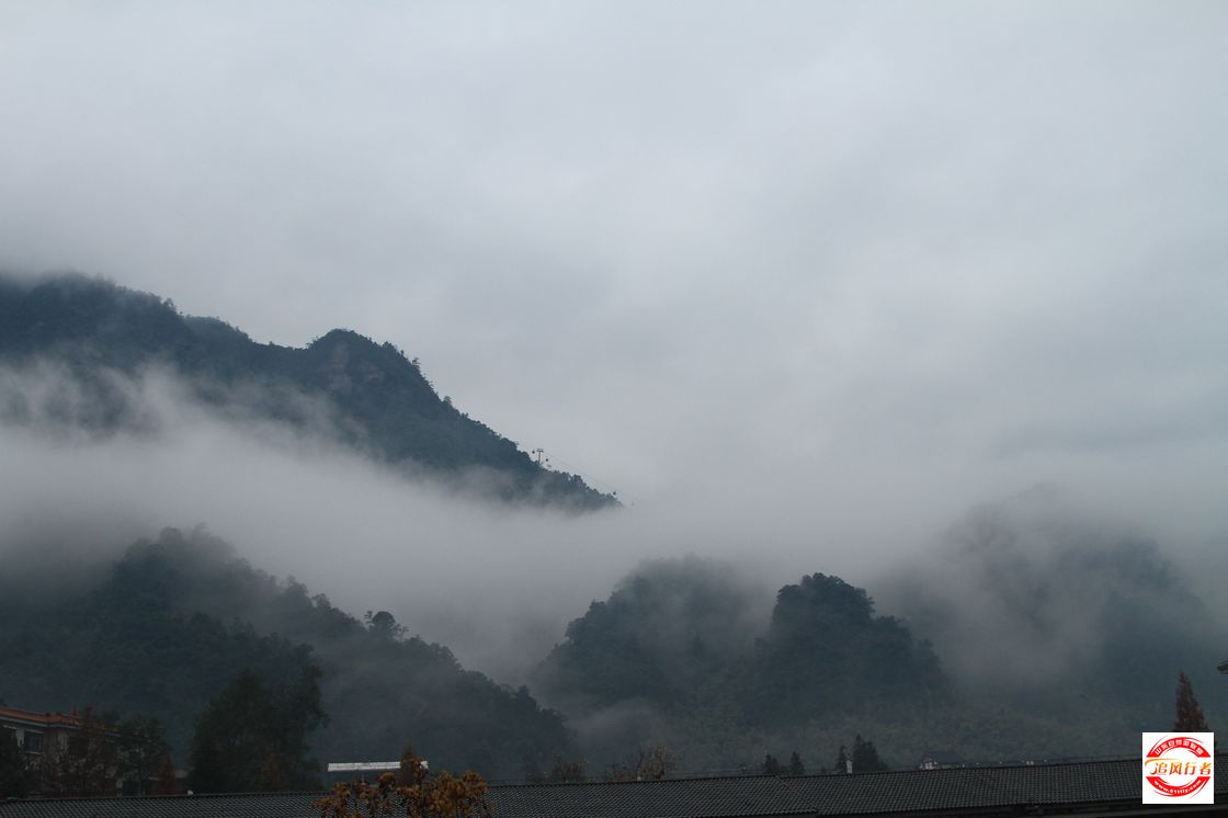 IMG_6295.jpg