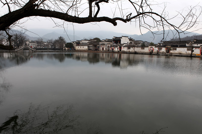 IMG_9847.jpg