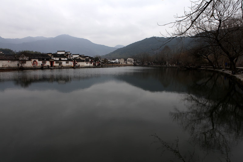 IMG_9856.jpg