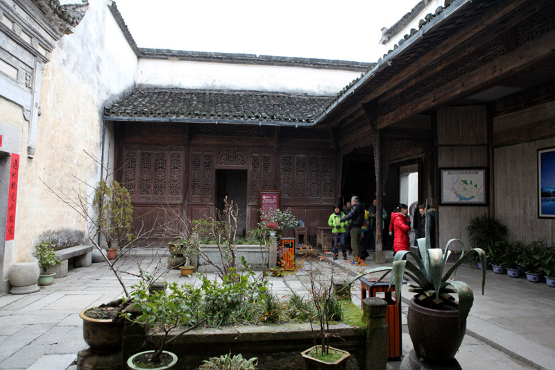 IMG_9904.jpg