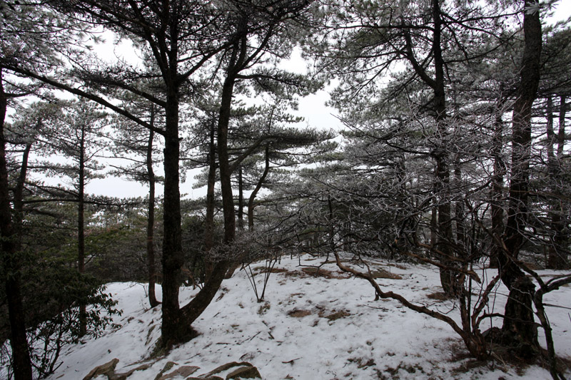IMG_9578.jpg
