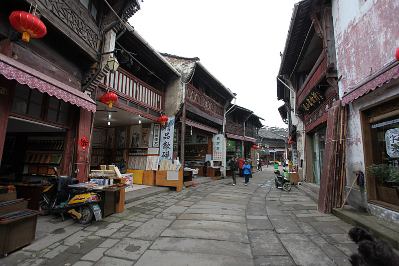 IMG_9824.jpg