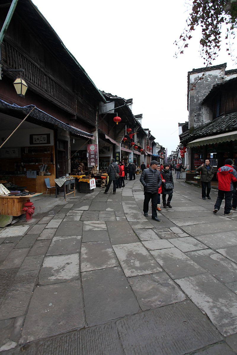 IMG_9826.jpg