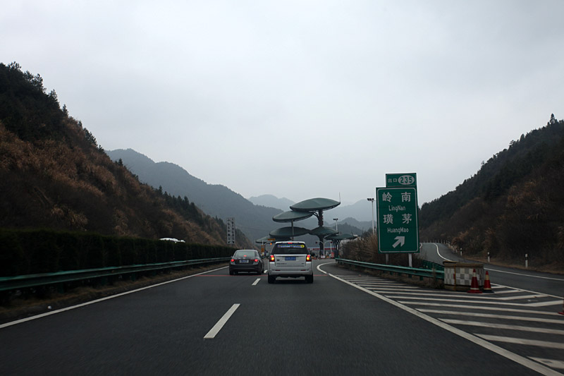 IMG_9921.jpg