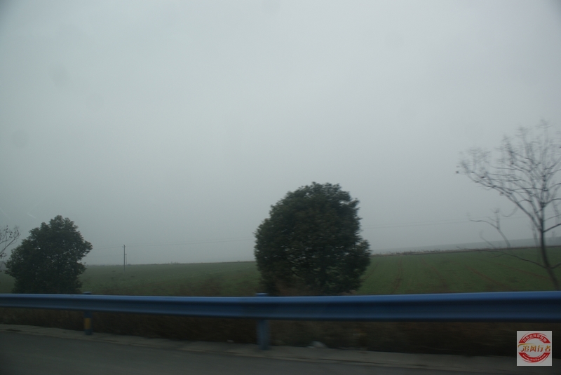 DSC03875.jpg