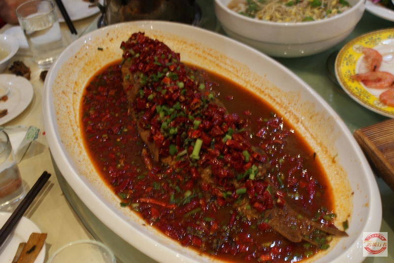 DSC03896.jpg