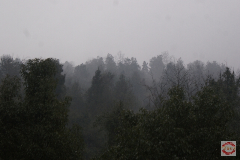 DSC04049.jpg