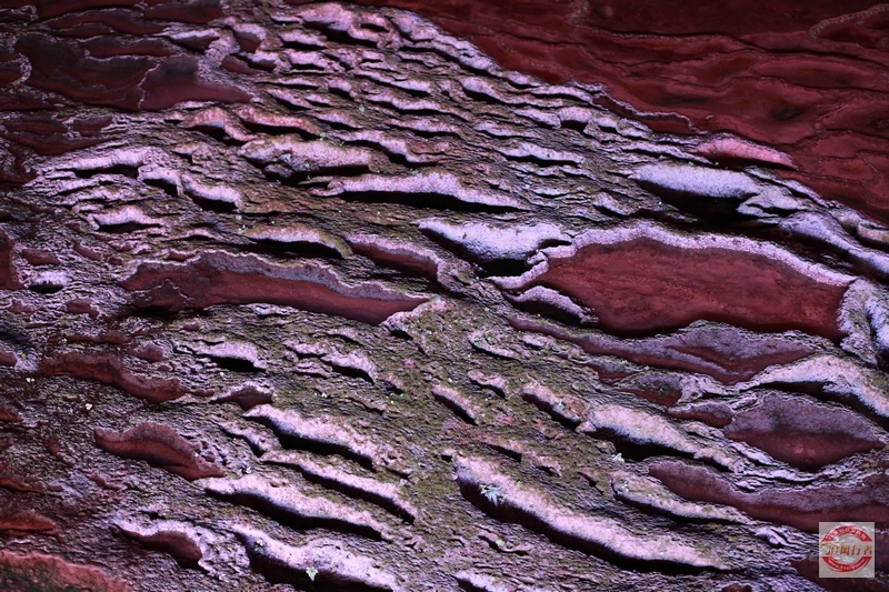 MA4A1008.jpg