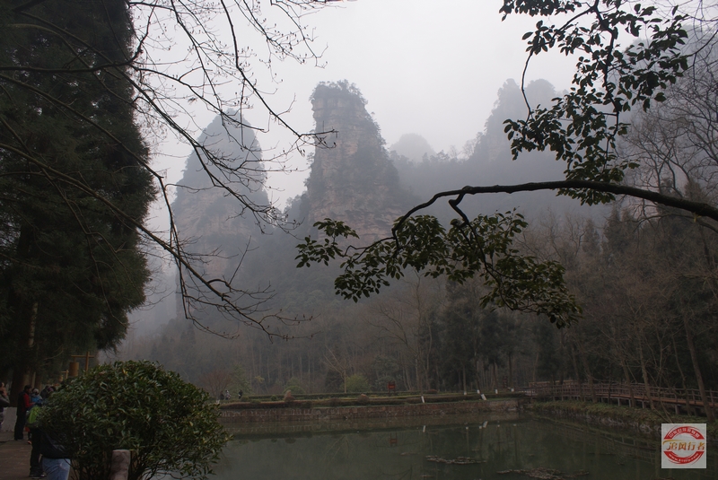 DSC04086.jpg