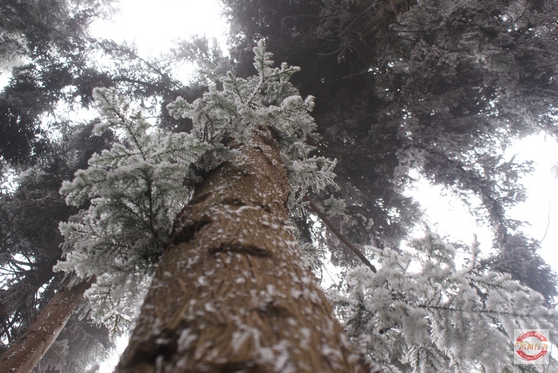 DSC04112.jpg