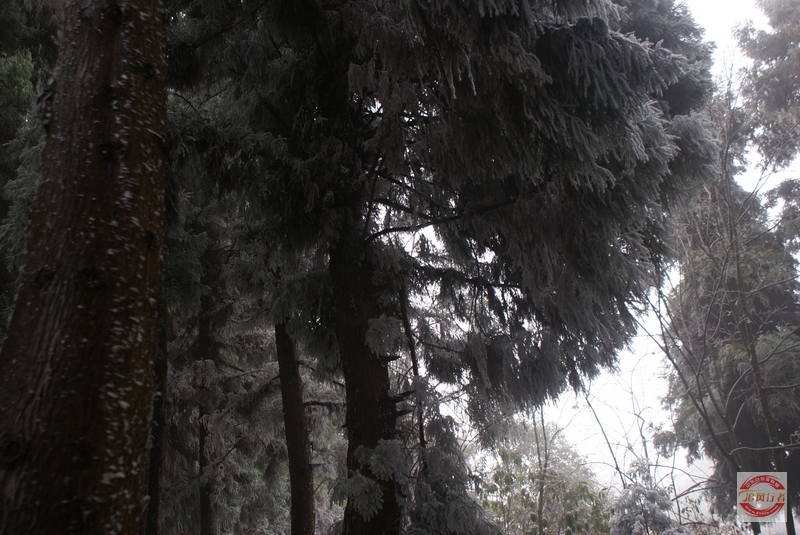 DSC04115.jpg