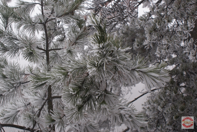 DSC04144.jpg