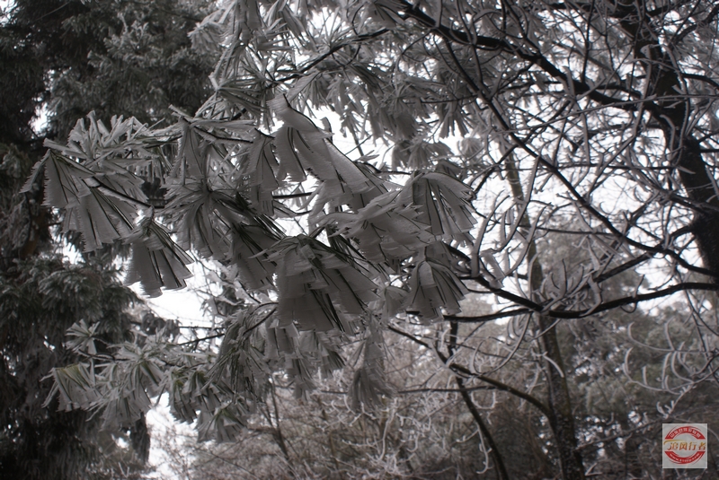 DSC04167.jpg