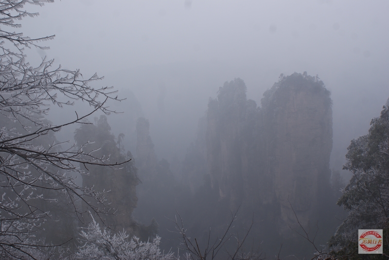 DSC04201.jpg