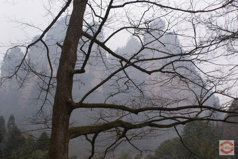 DSC04233.jpg