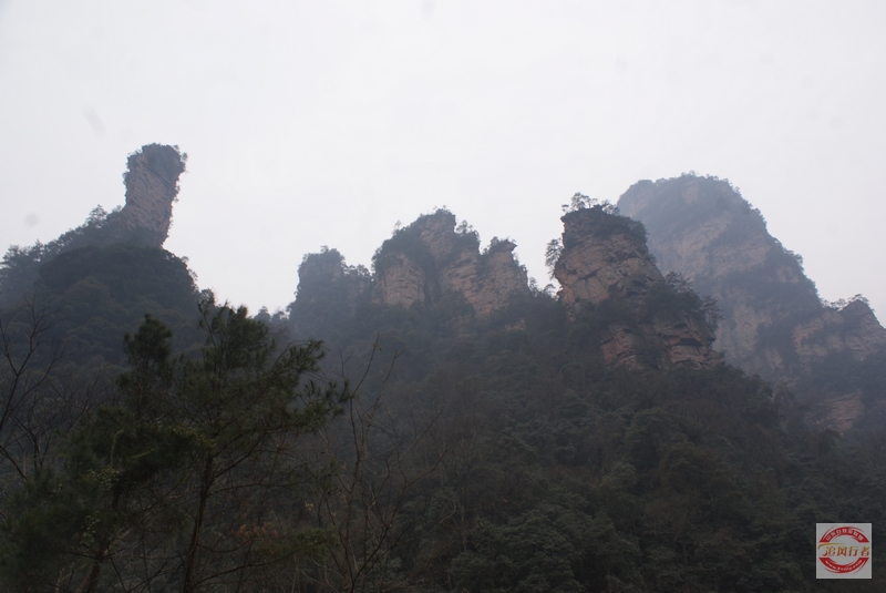 DSC04283.jpg