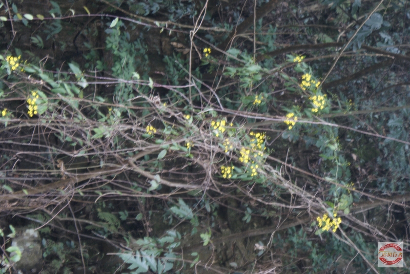 DSC04284.jpg