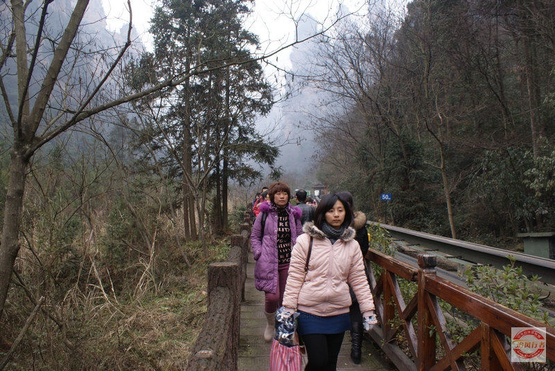 DSC04294.jpg