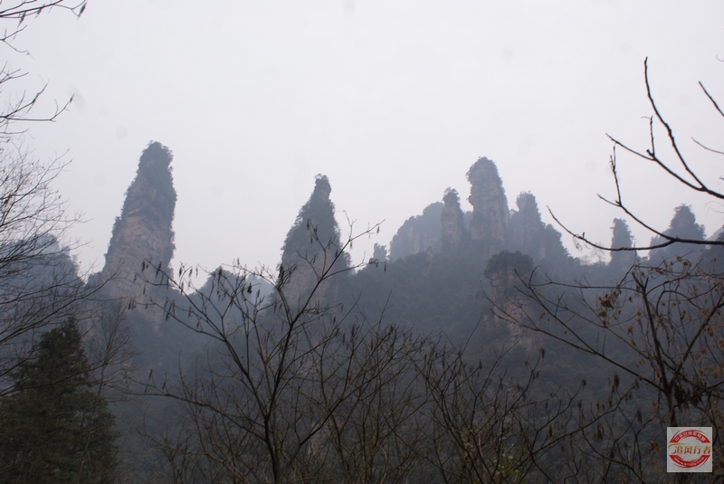 DSC04296.jpg