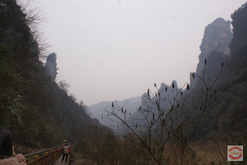 DSC04298.jpg