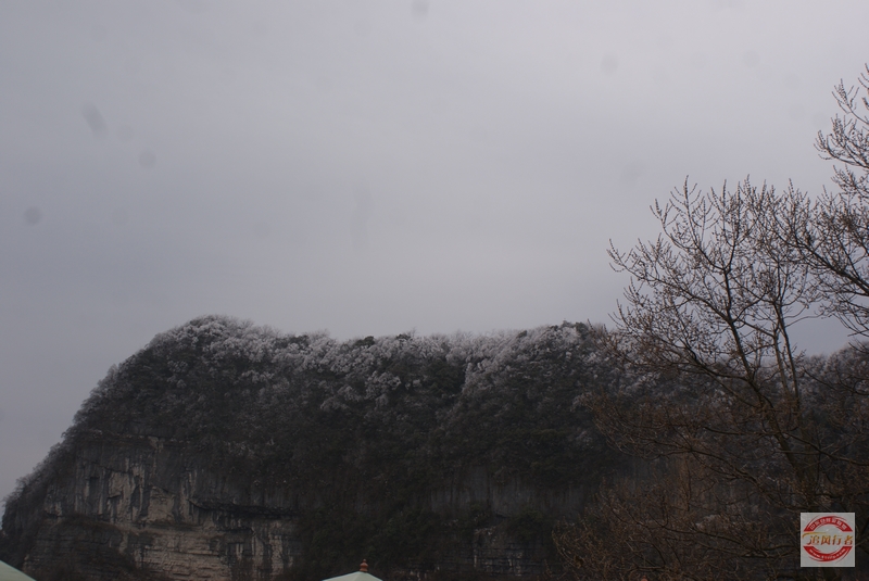 DSC04306.jpg