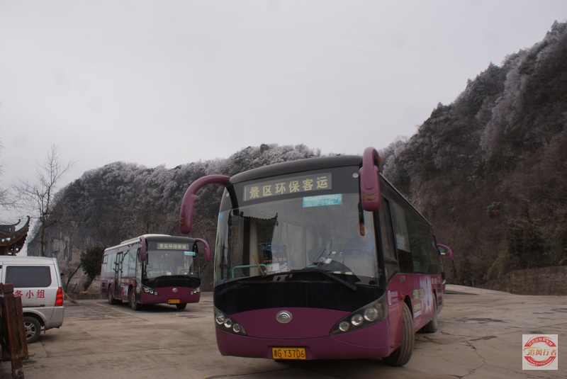DSC04315.jpg