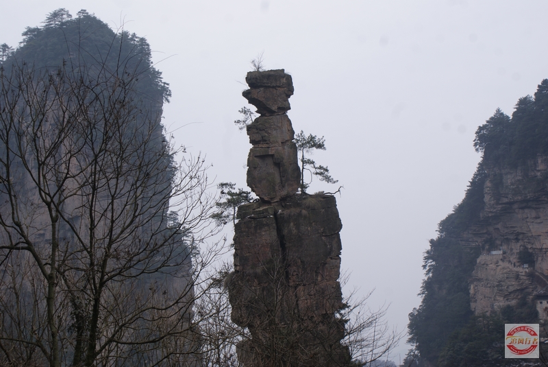 DSC04337.jpg