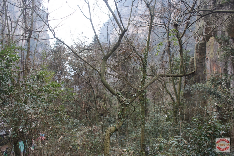 DSC04345.jpg