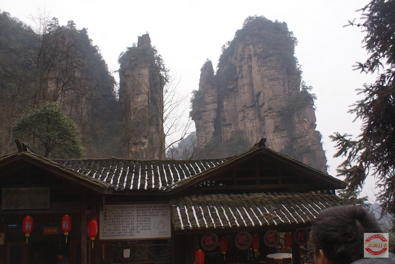 DSC04346.jpg