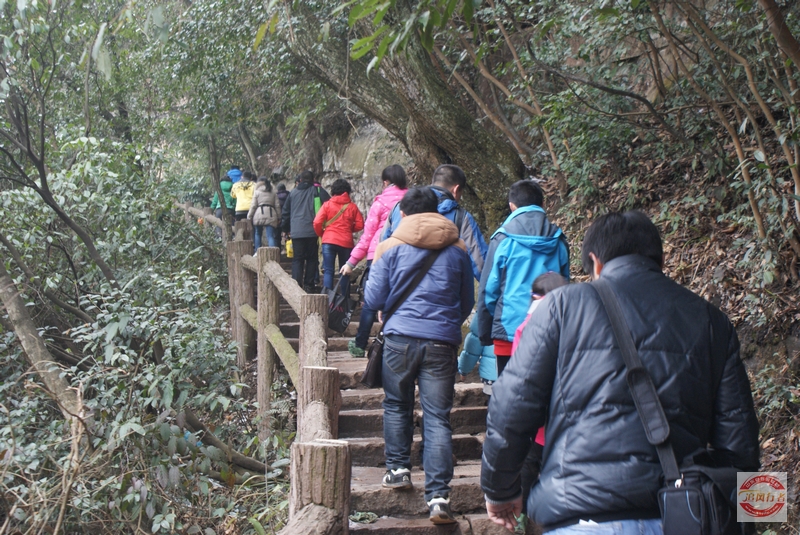 DSC04355.jpg