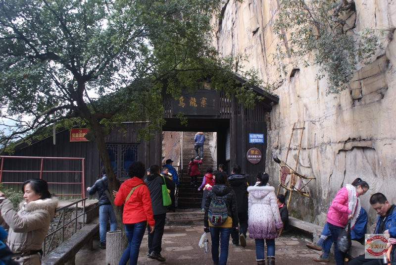 DSC04358.jpg