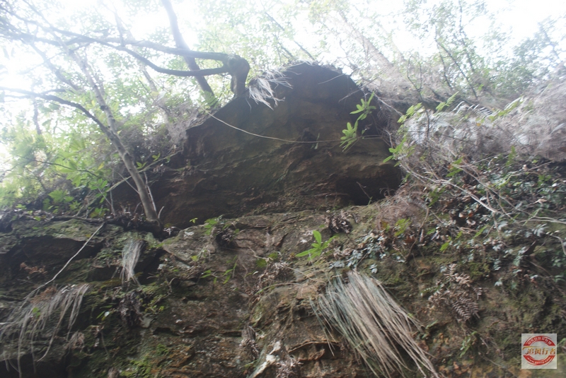 DSC04384.jpg