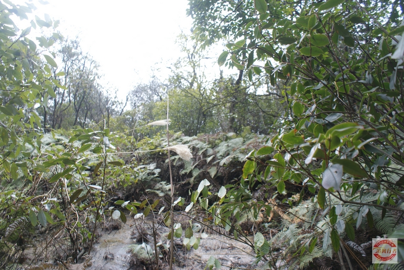 DSC04399.jpg