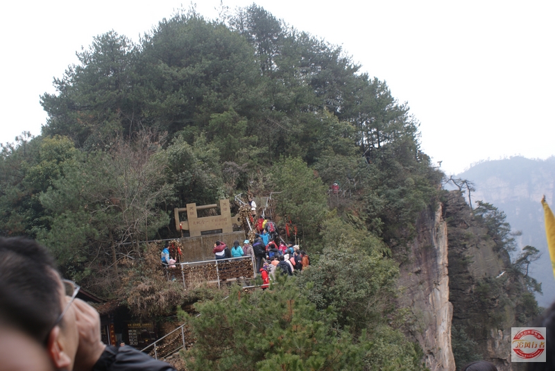 DSC04484.jpg