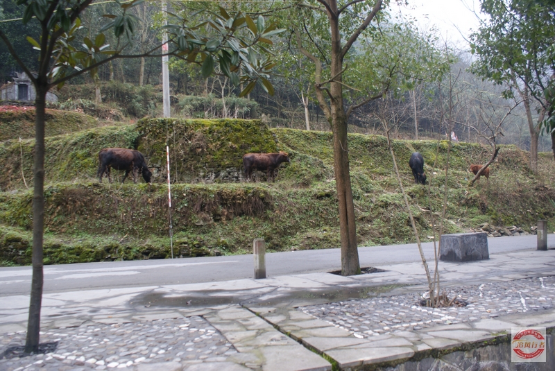 DSC04578.jpg
