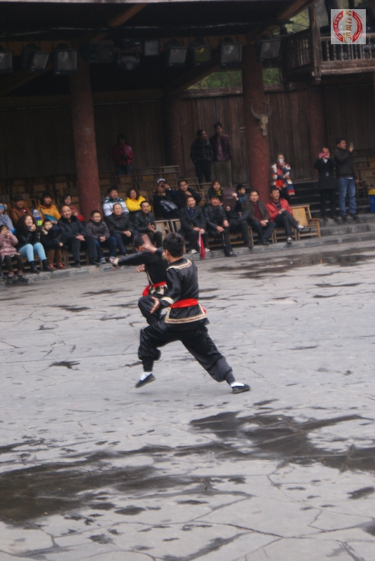 DSC04676.jpg