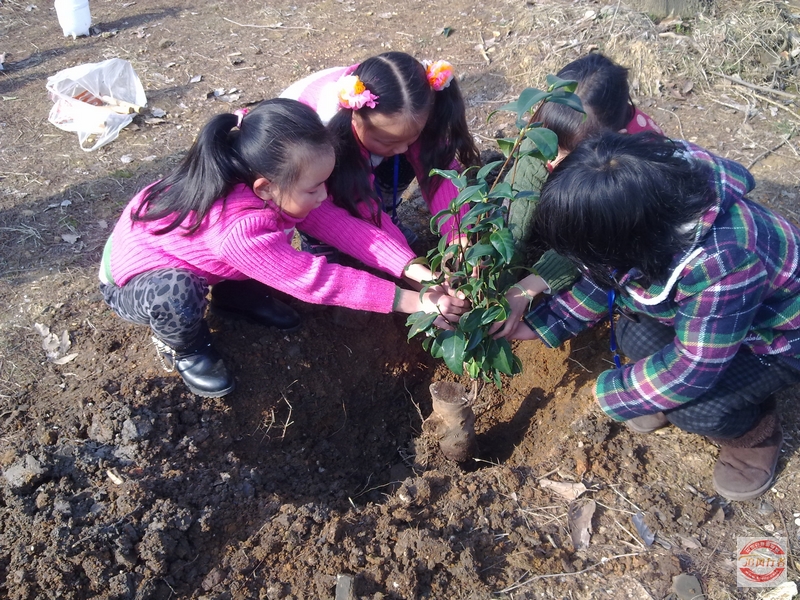 2012031219581911.jpg