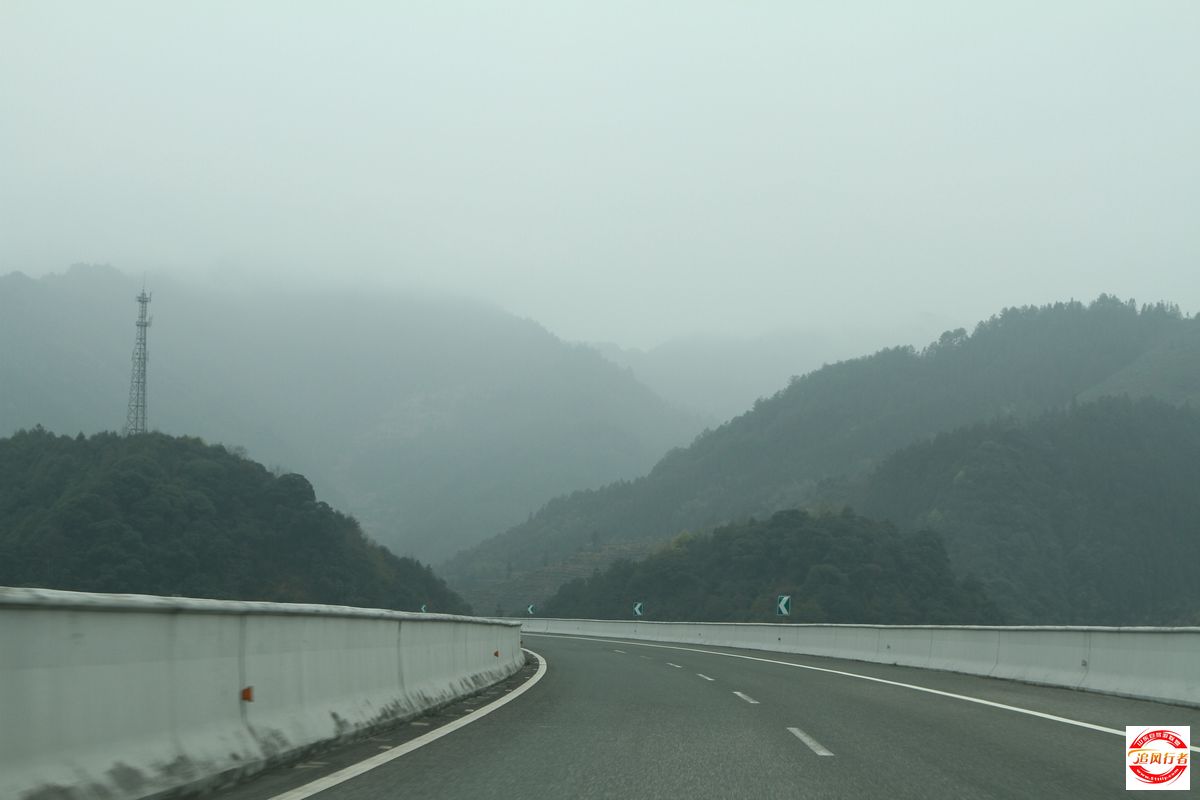 IMG_4241.jpg
