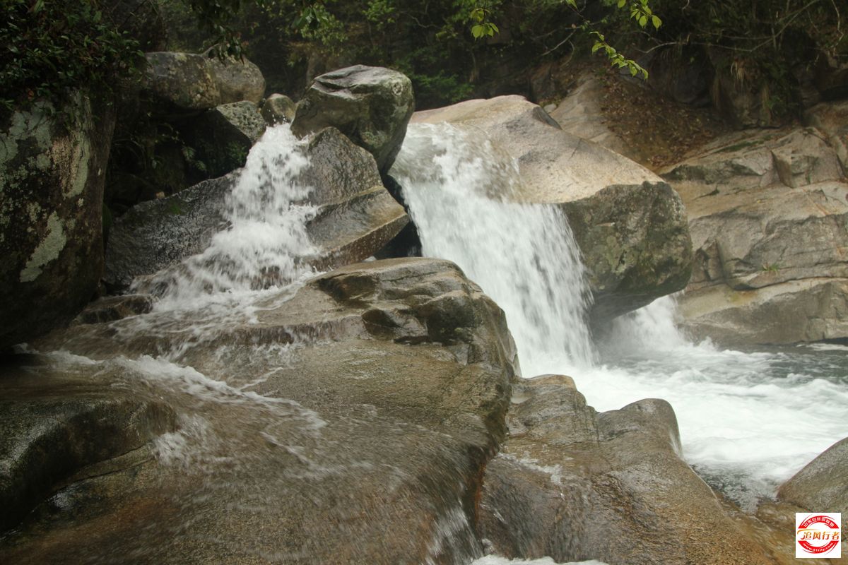 IMG_4661.jpg